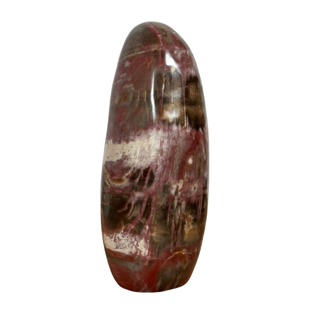 Petrified wood freeform (B) — natural, Madagascar