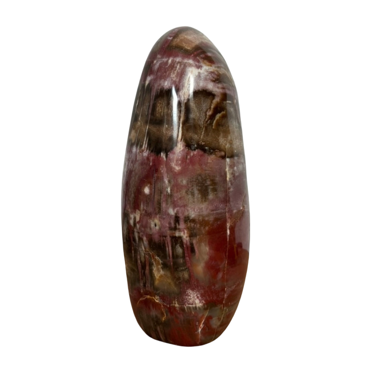 Petrified wood freeform (B) — natural, Madagascar
