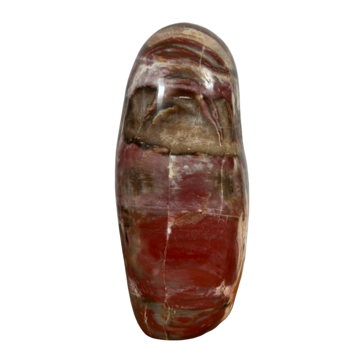 Petrified wood freeform (B) — natural, Madagascar