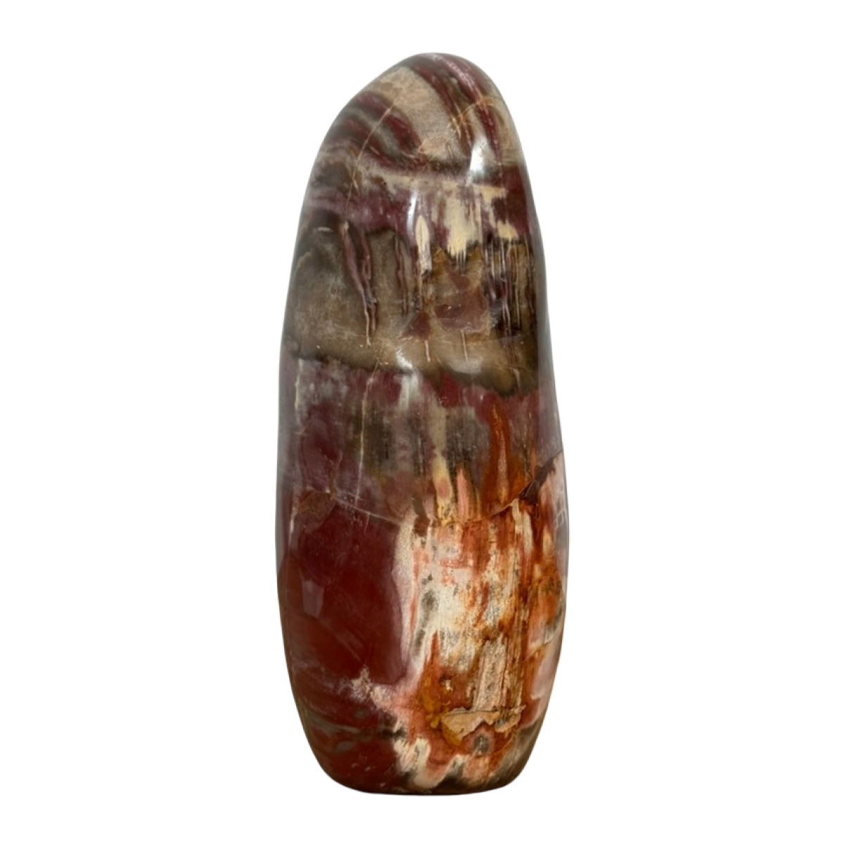 Petrified wood freeform (B) — natural, Madagascar