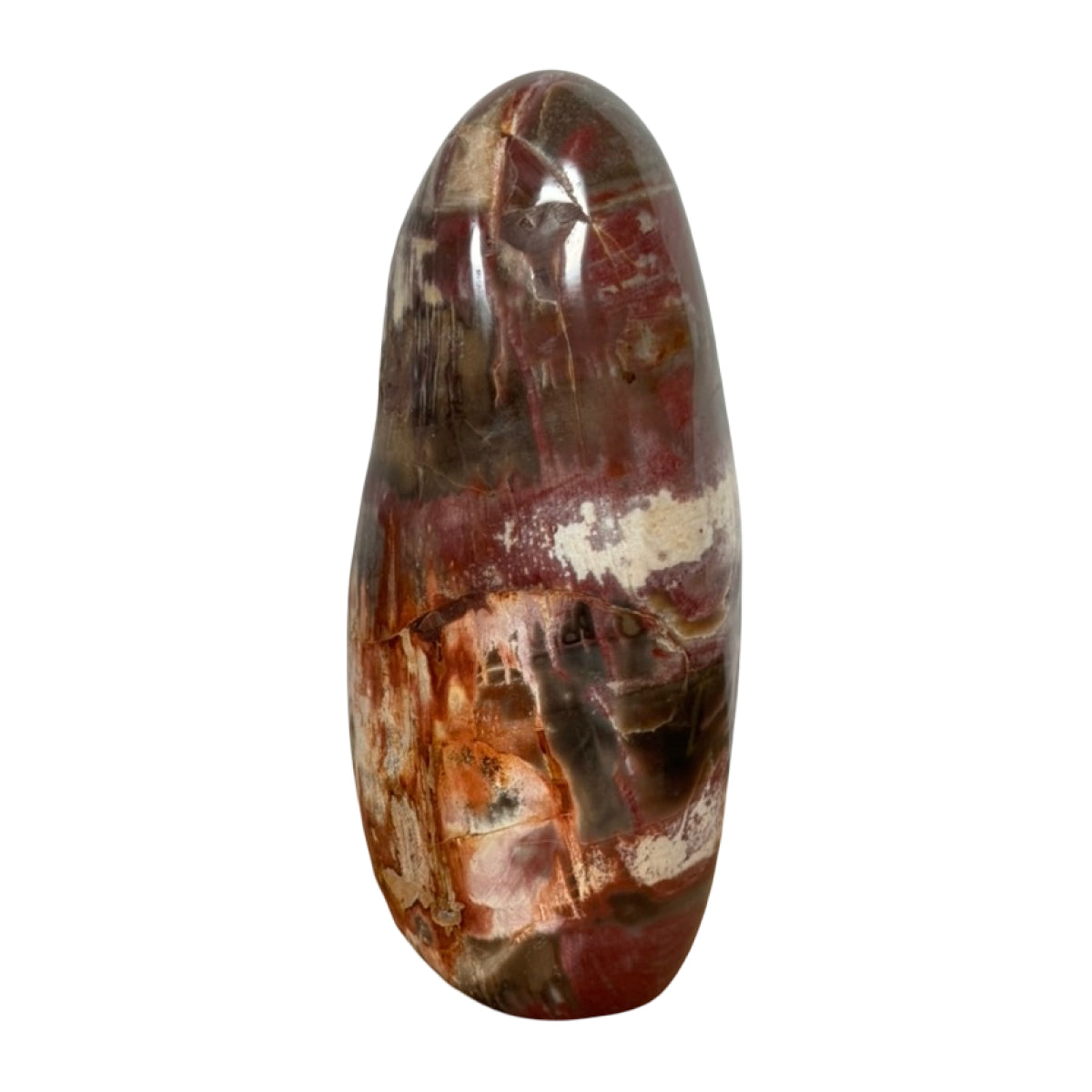 Petrified wood freeform (B) — natural, Madagascar