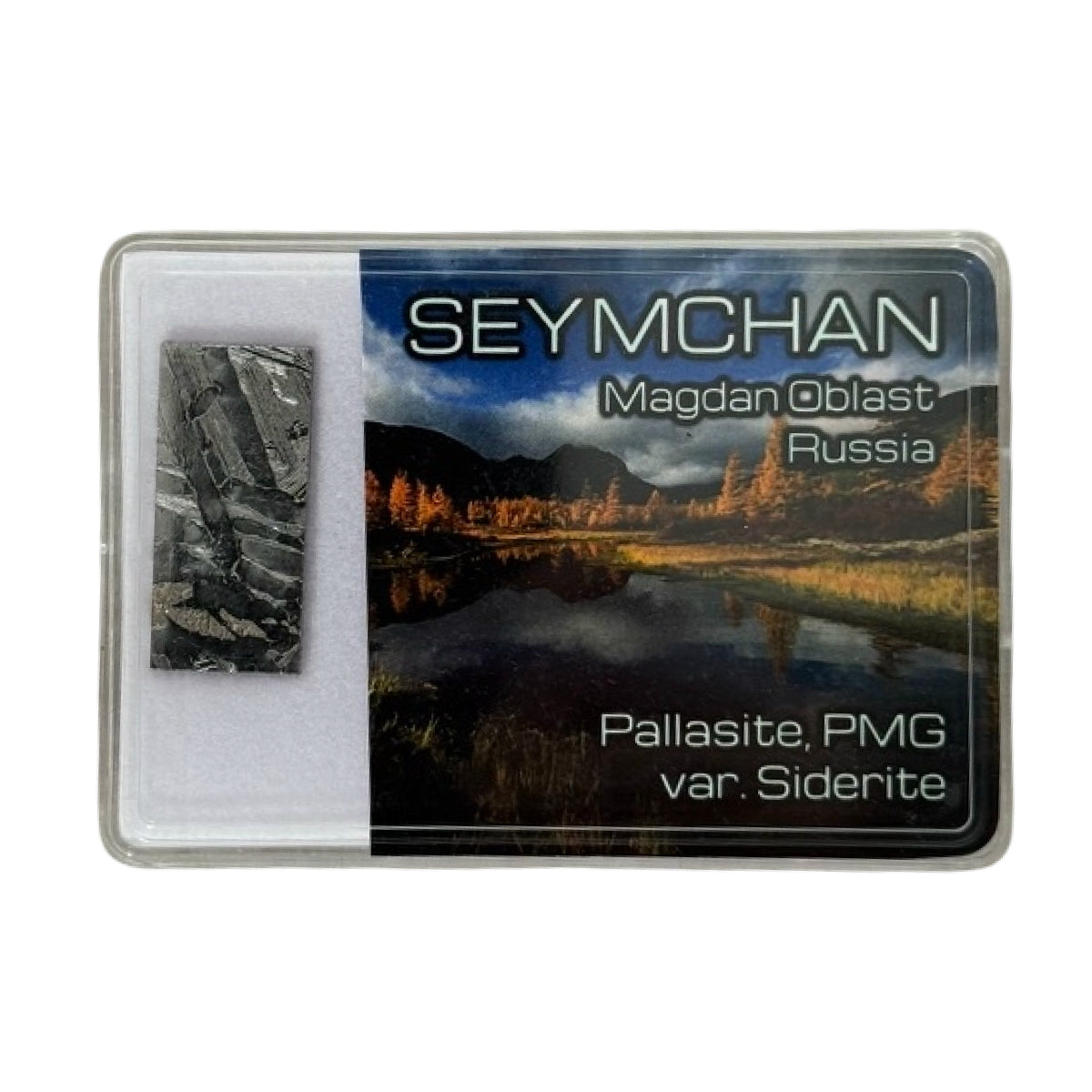 Seymchan pallasite slice (C) — etched, Russia