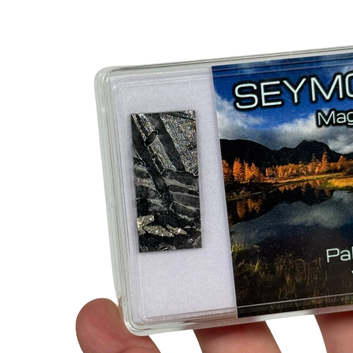 Seymchan pallasite slice (C) — etched, Russia