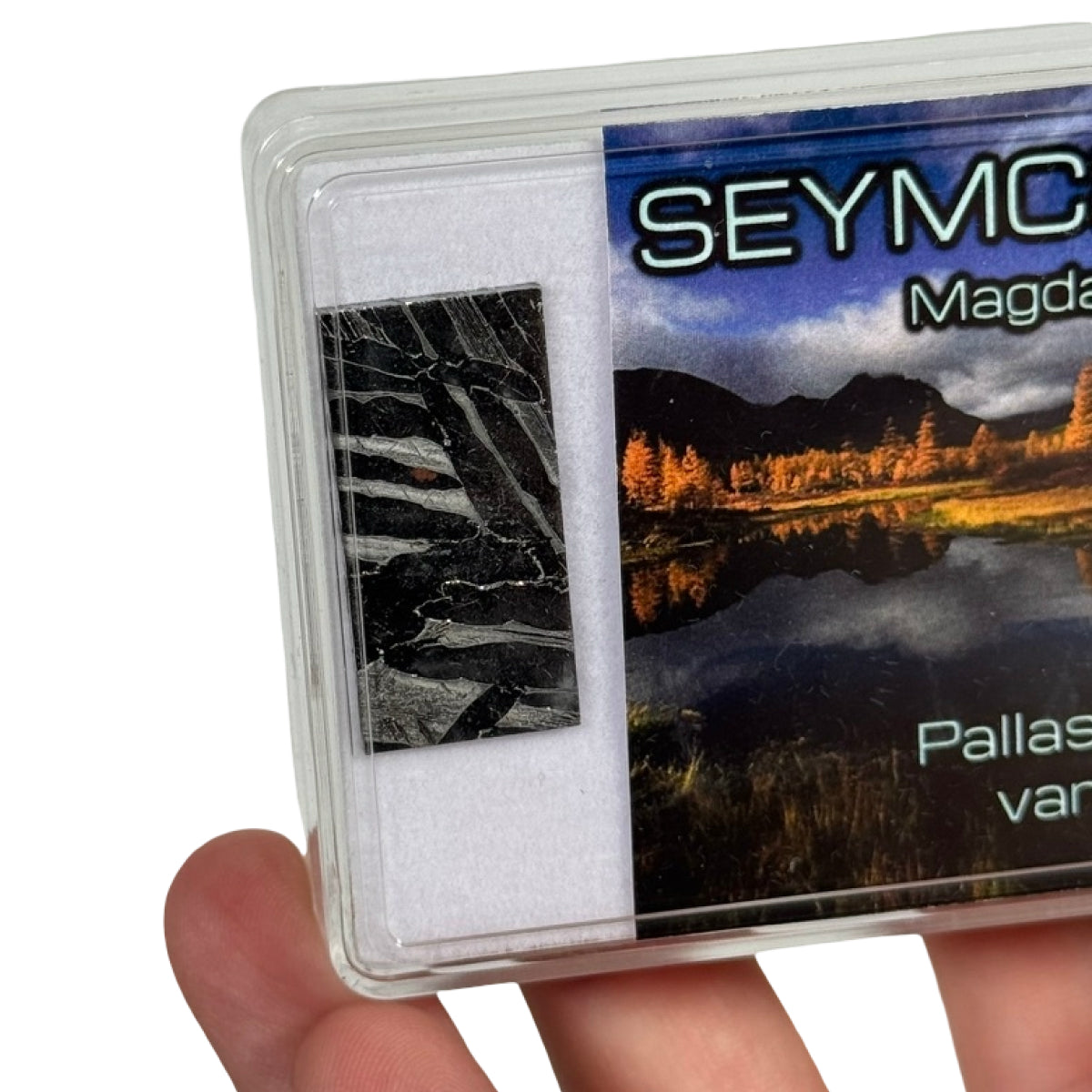 Seymchan pallasite slice (B) — etched, Russia