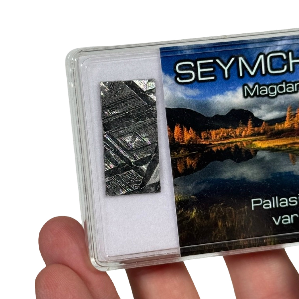 Seymchan pallasite slice (D) — etched, Russia