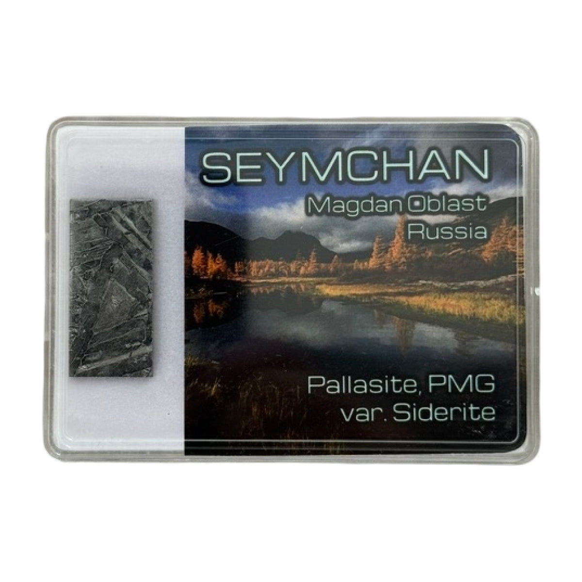 Seymchan pallasite slice (E) — etched, Russia