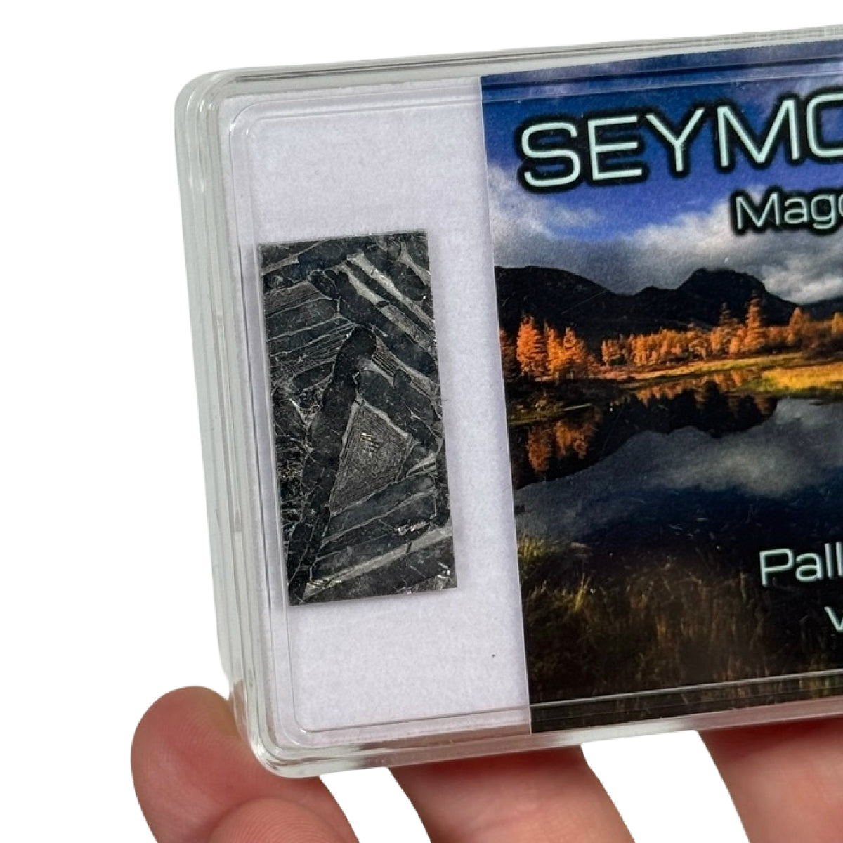 Seymchan pallasite slice (E) — etched, Russia